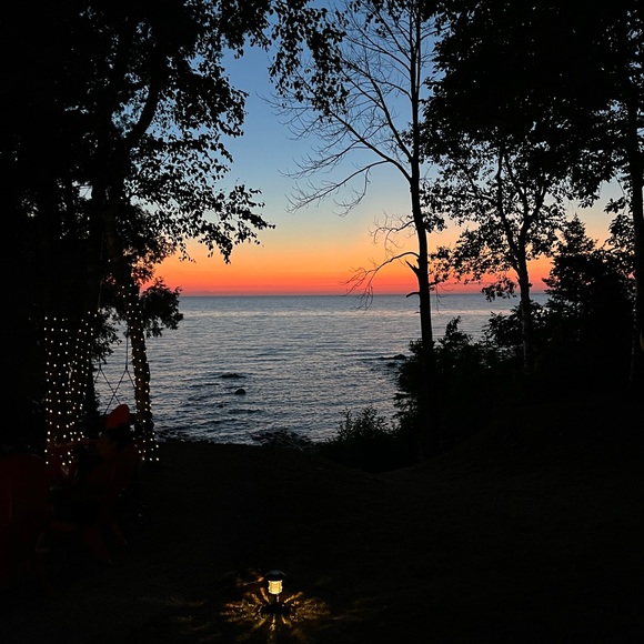 Meet your Posher, Devon - Picture 1 of 1